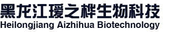 外貿(mào)模版網(wǎng)站